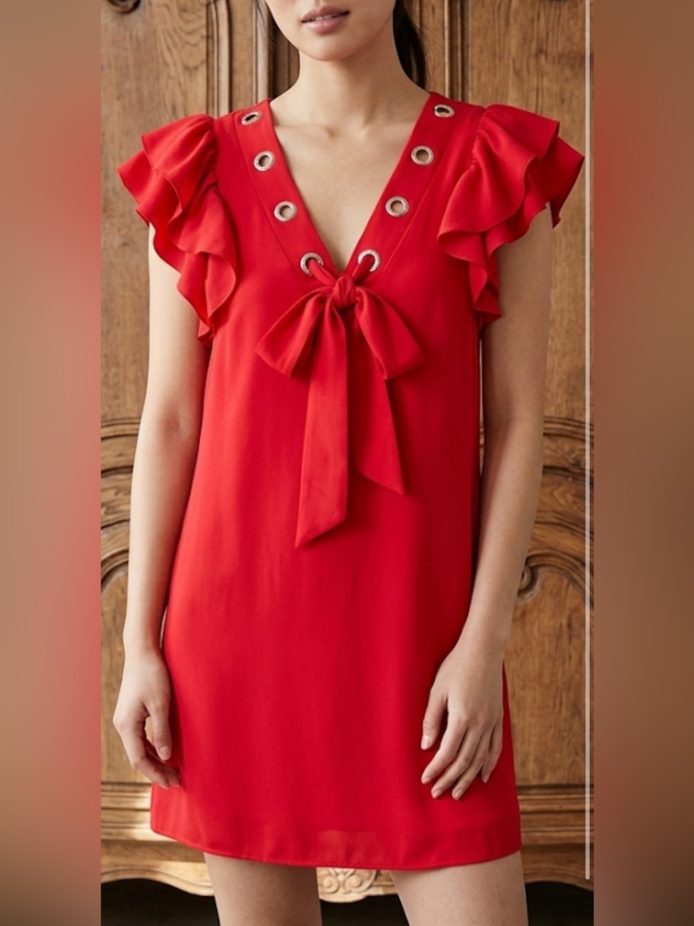 Yoana Baraschi Designer Unique Red Silk with Silver Garments Dress